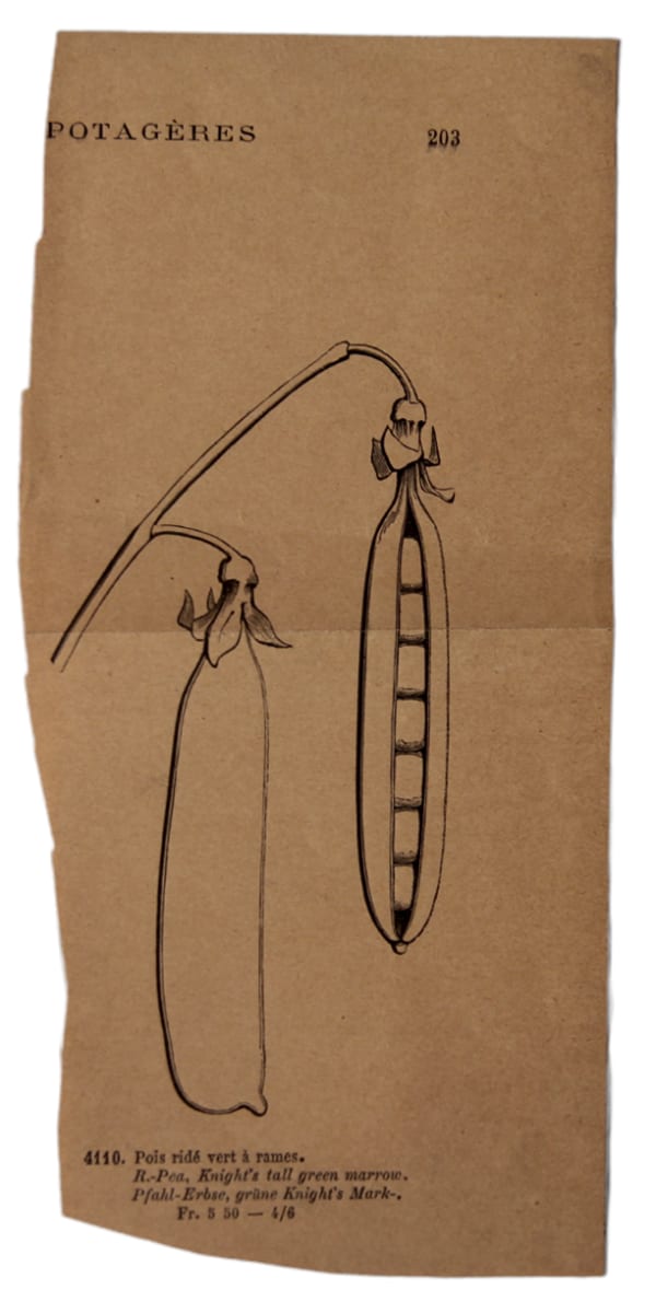 Dibuix 267 by Josep Mirabent i Gatell 