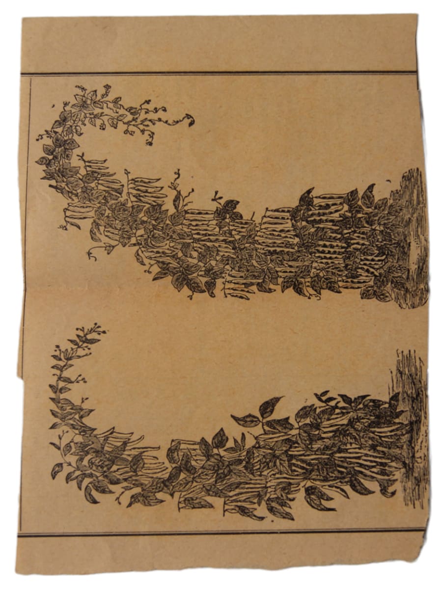 Dibuix 268 by Josep Mirabent i Gatell 