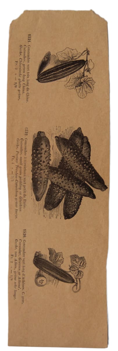 Dibuix 269 by Josep Mirabent i Gatell, Image 1.