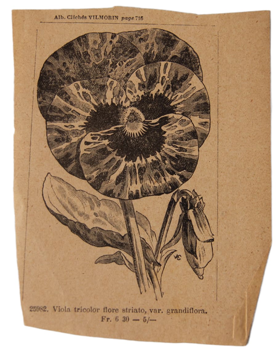 Dibuix 270 by Josep Mirabent i Gatell, Image 1.