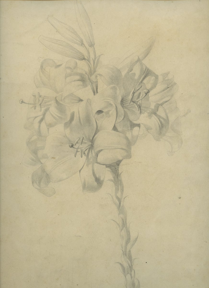 Dibuix 62 by Josep Mirabent i Gatell, Image 1.