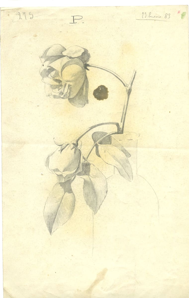 Dibuix 207 by Josep Mirabent i Gatell, Image 1.