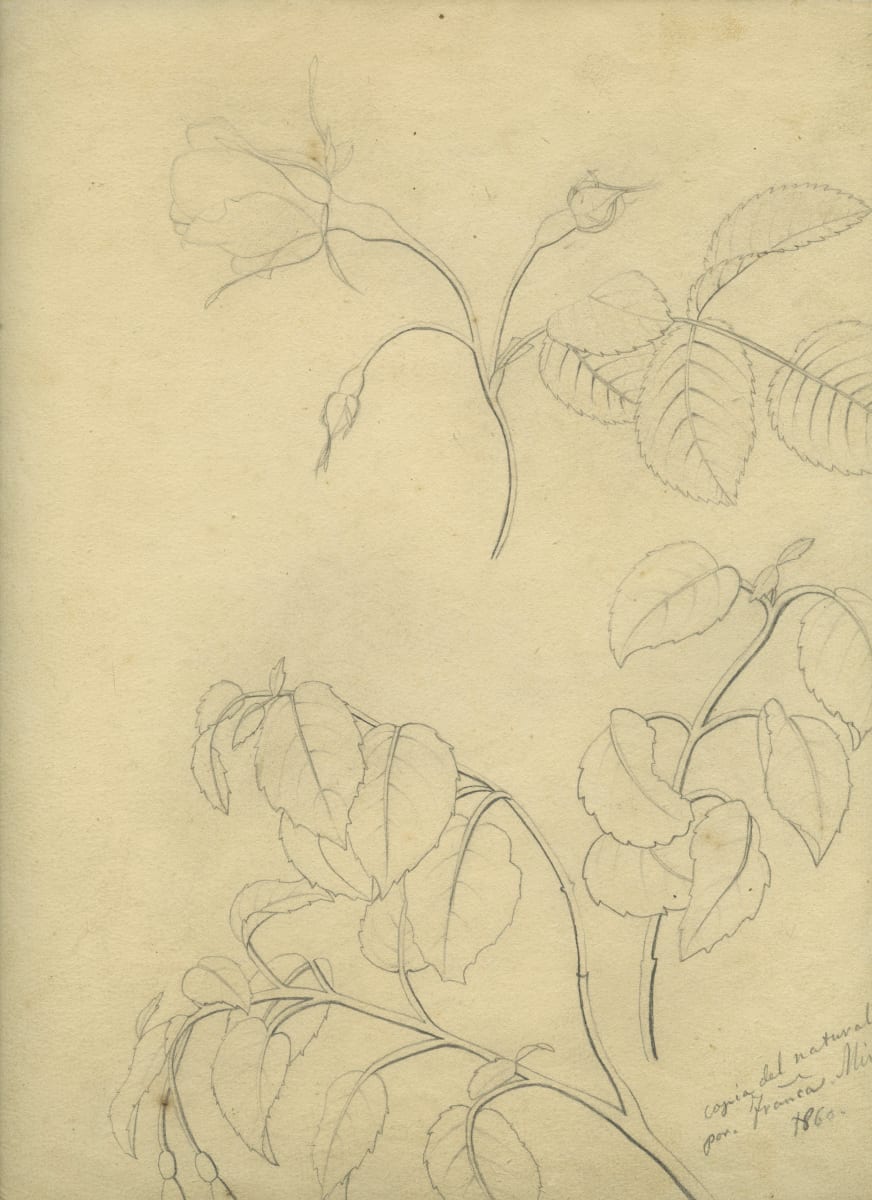 Dibuix 61 by Josep Mirabent i Gatell, Image 1.
