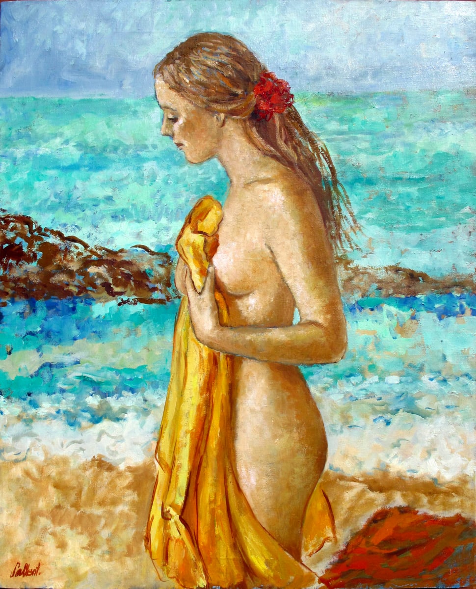 Intimitat by Lluïsa Sallent 
