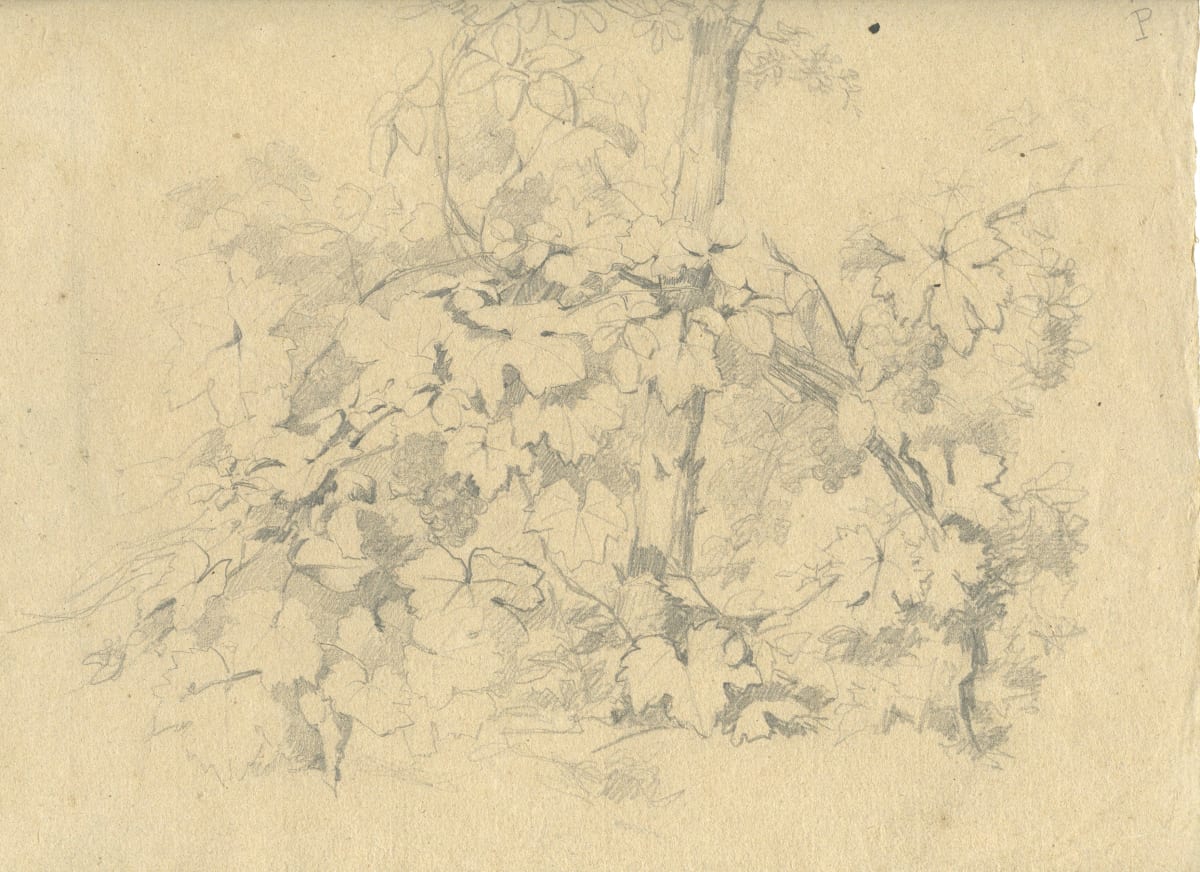 Dibuix 205 by Josep Mirabent i Gatell, Image 1.