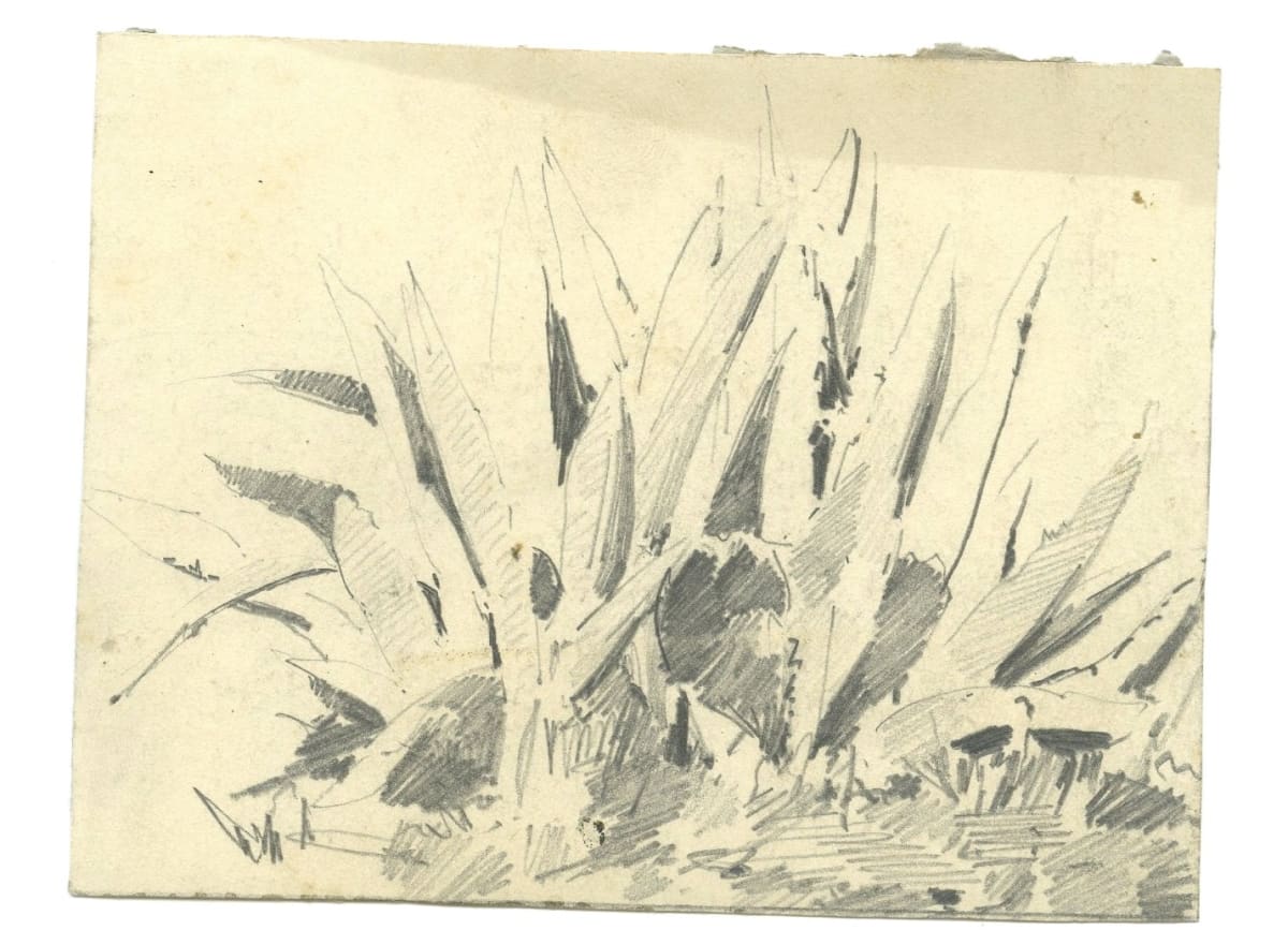 Dibuix 202 by Josep Mirabent i Gatell, Image 1.