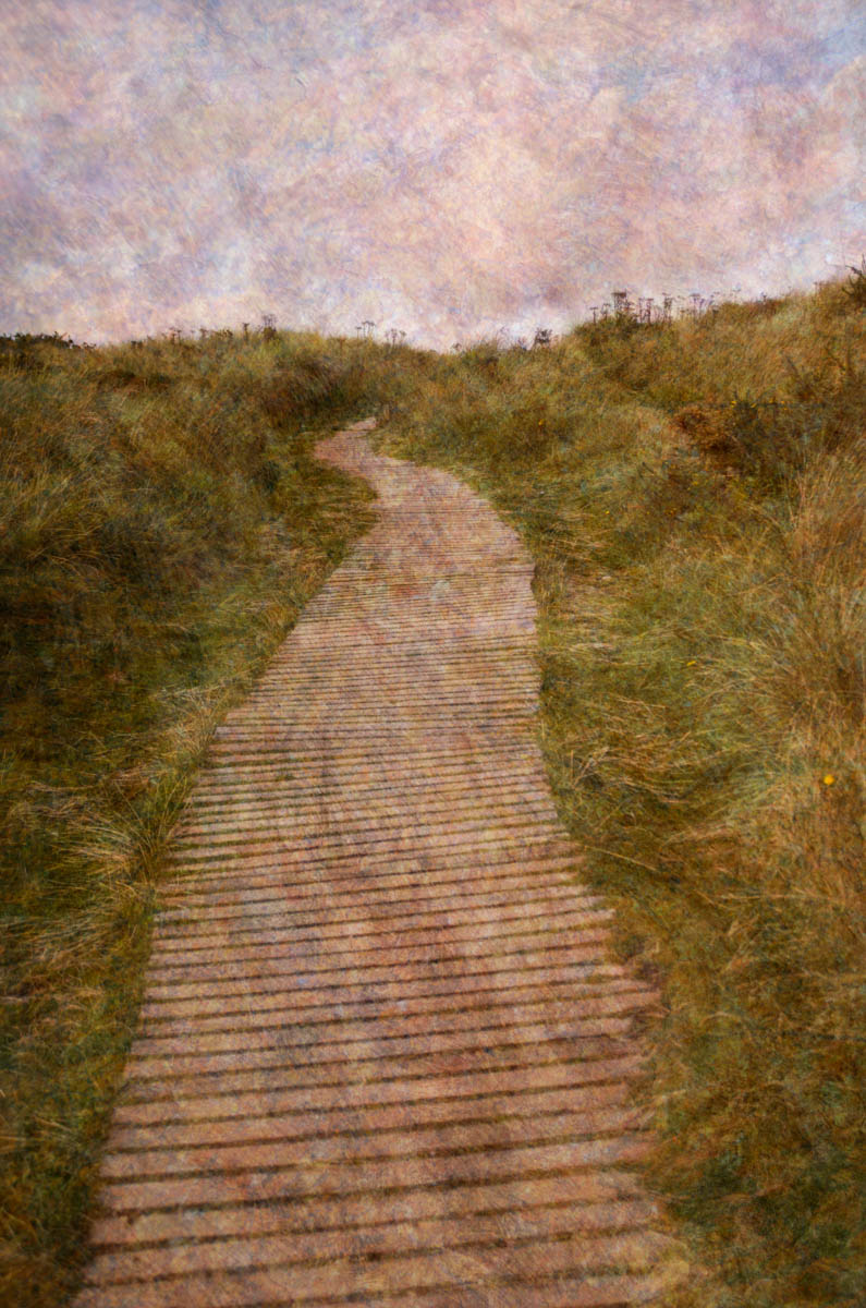 Findhorn Dunes by Liz Ruest  Image: Digital collage, 12 layers © 2017 Liz Ruest