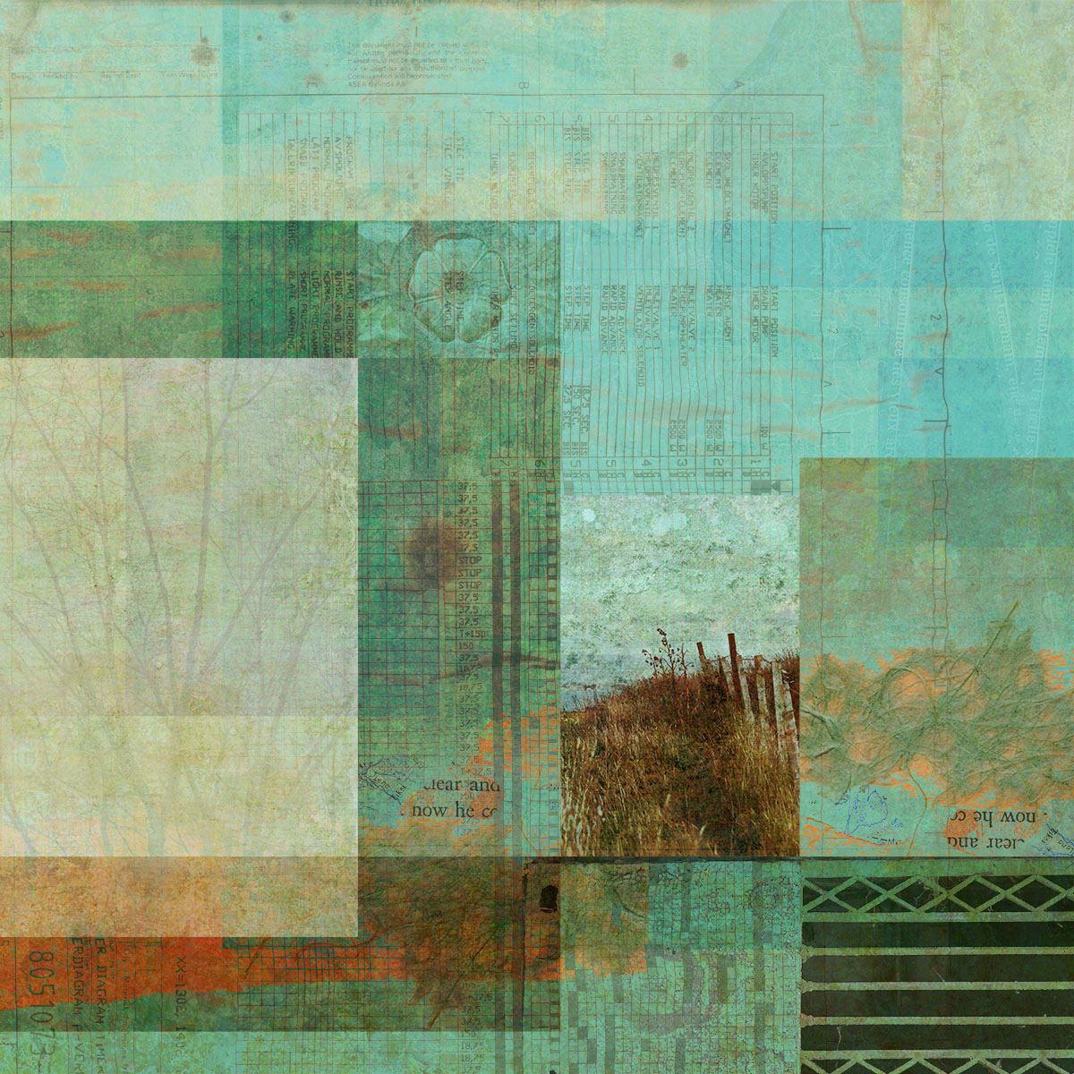 compounded by straggling by Liz Ruest, Image 1.