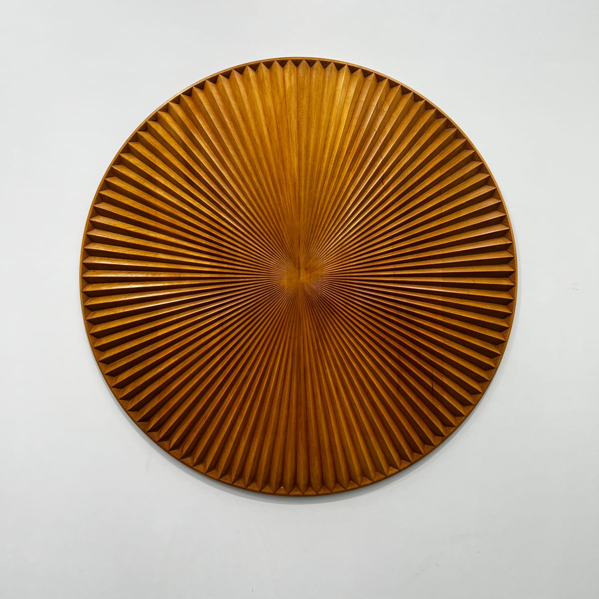 Singularity and the sun by Roger Murray 