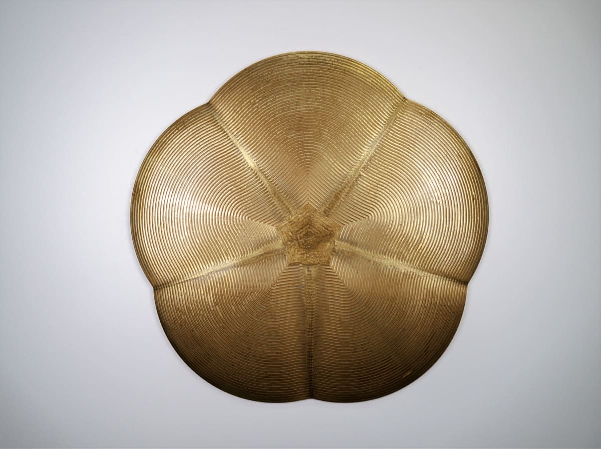 Sublimant by Roger Murray 