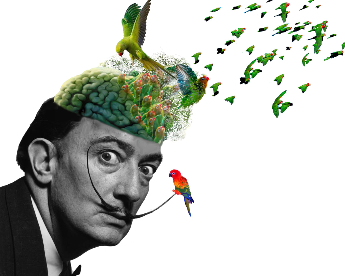 BIRD BRAIN. FLIGHT OF IDEAS by Curtis Dickman 