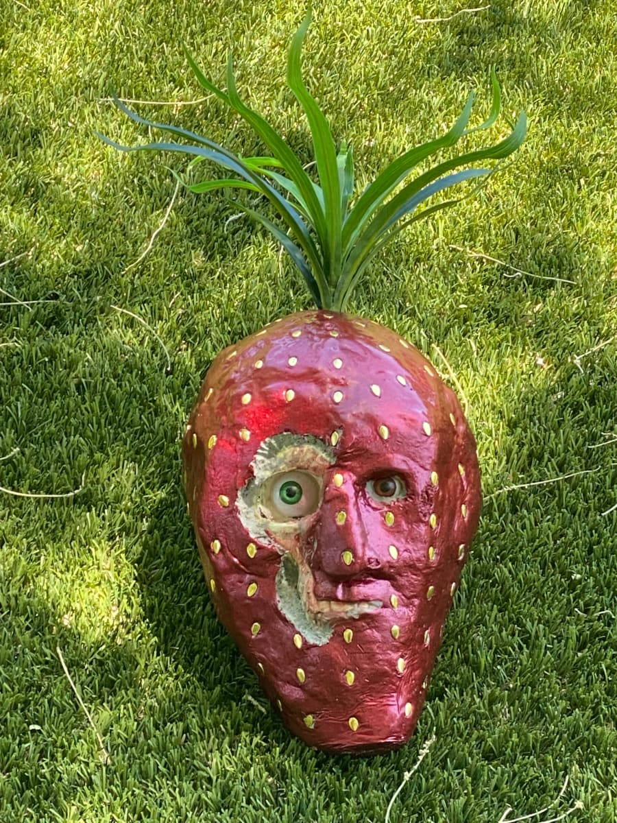 STRAWBERRY FACE by Curtis Dickman 