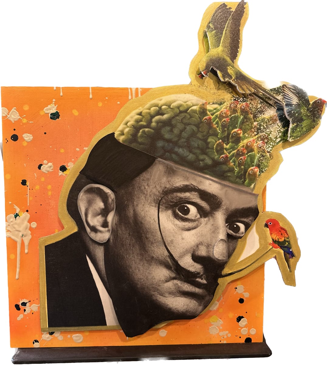 BIRD BRAIN. FLIGHT OF IDEAS by Curtis Dickman 