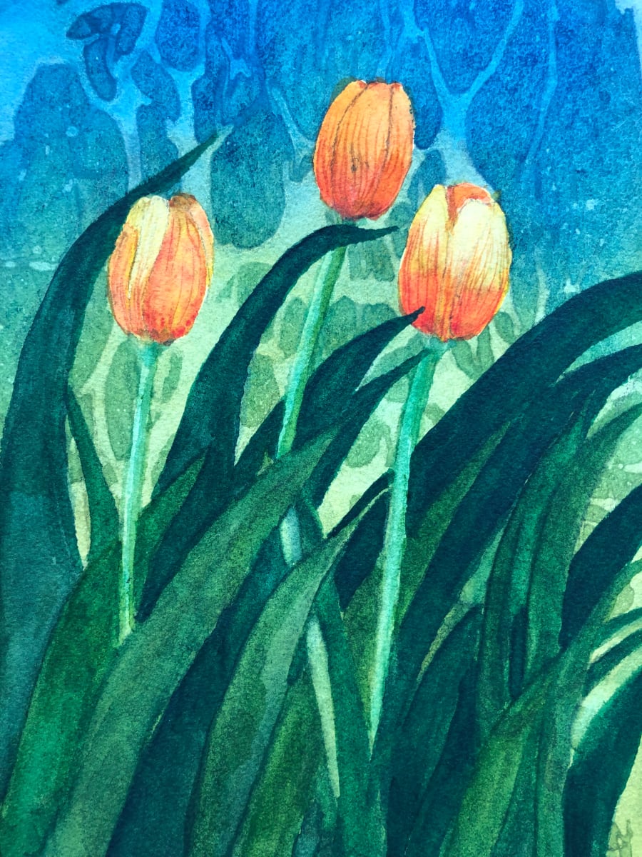 Tulips 5 by Katy Heyning 