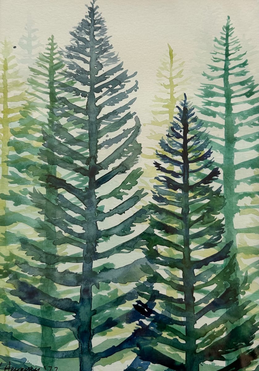 Pines by Katy Heyning 