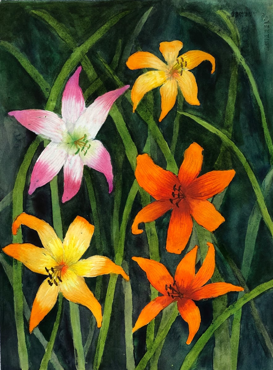 Daylilies by Katy Heyning 