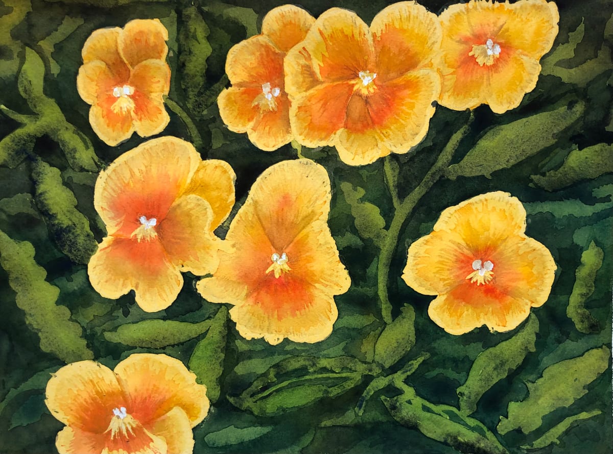 Pansies by Katy Heyning 