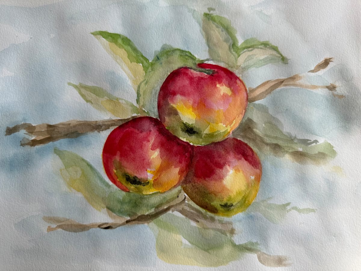 Apples by Katy Heyning 