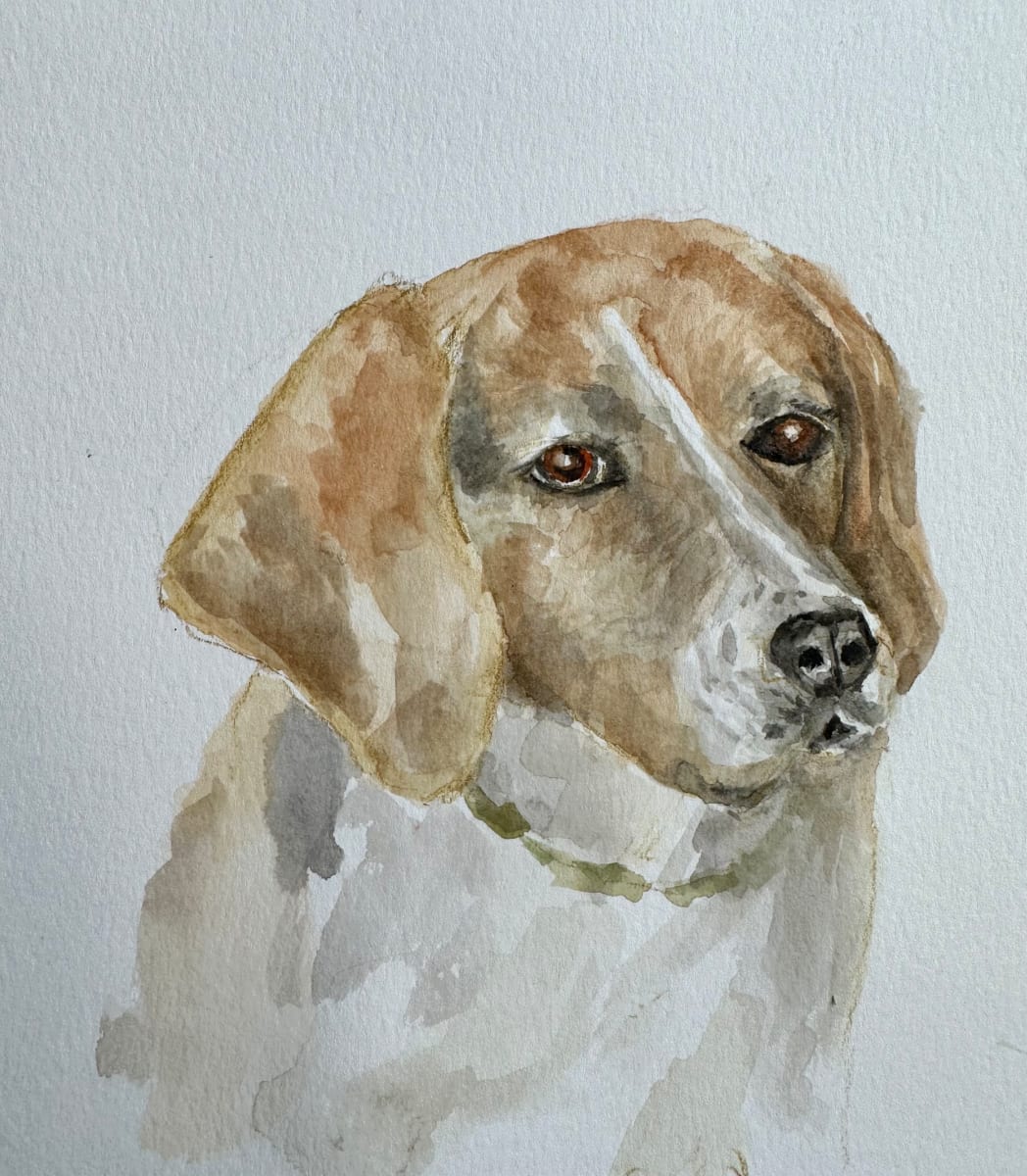 Tula by Katy Heyning 