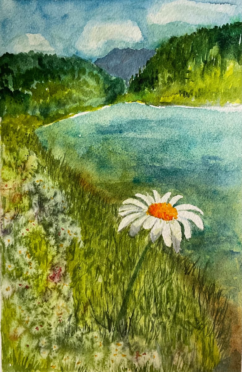 Mountain Daisy by Katy Heyning, Image 1.