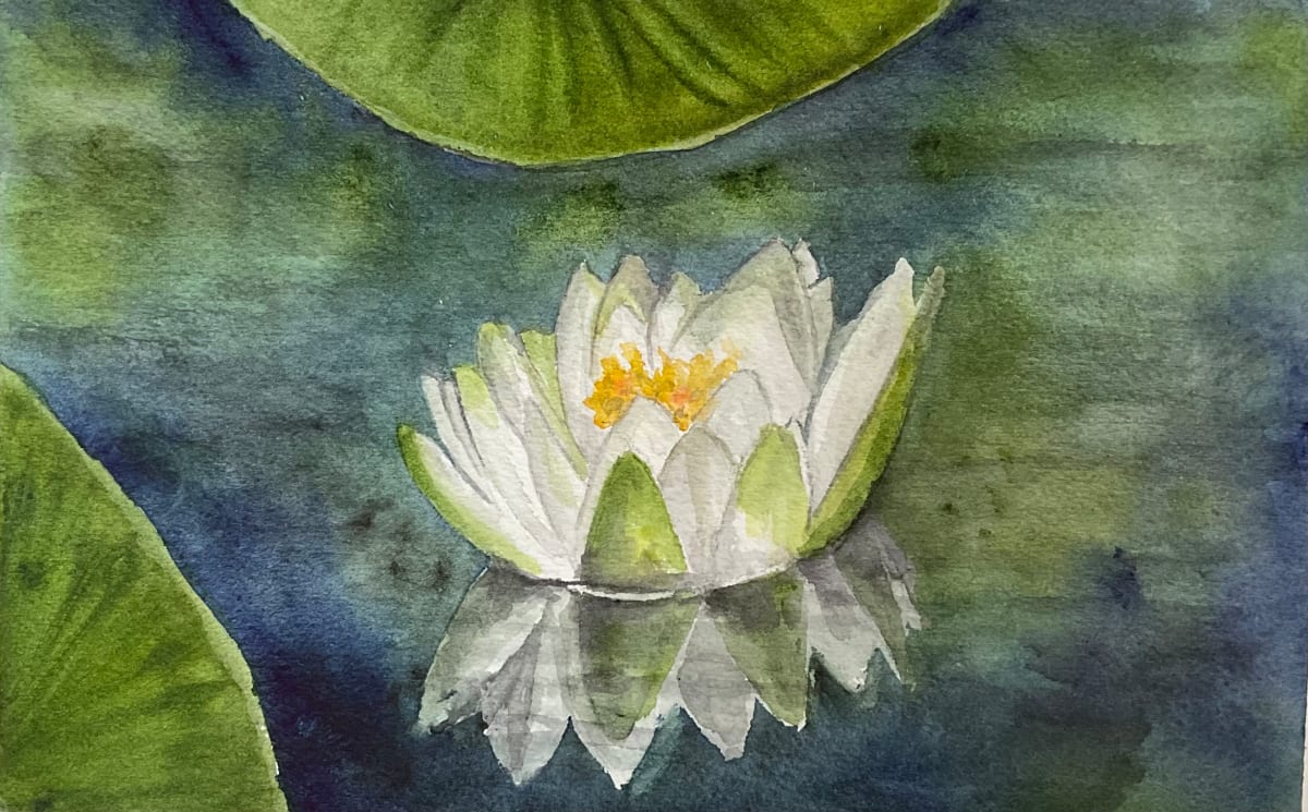 Water Lily Study 2 by Katy Heyning 