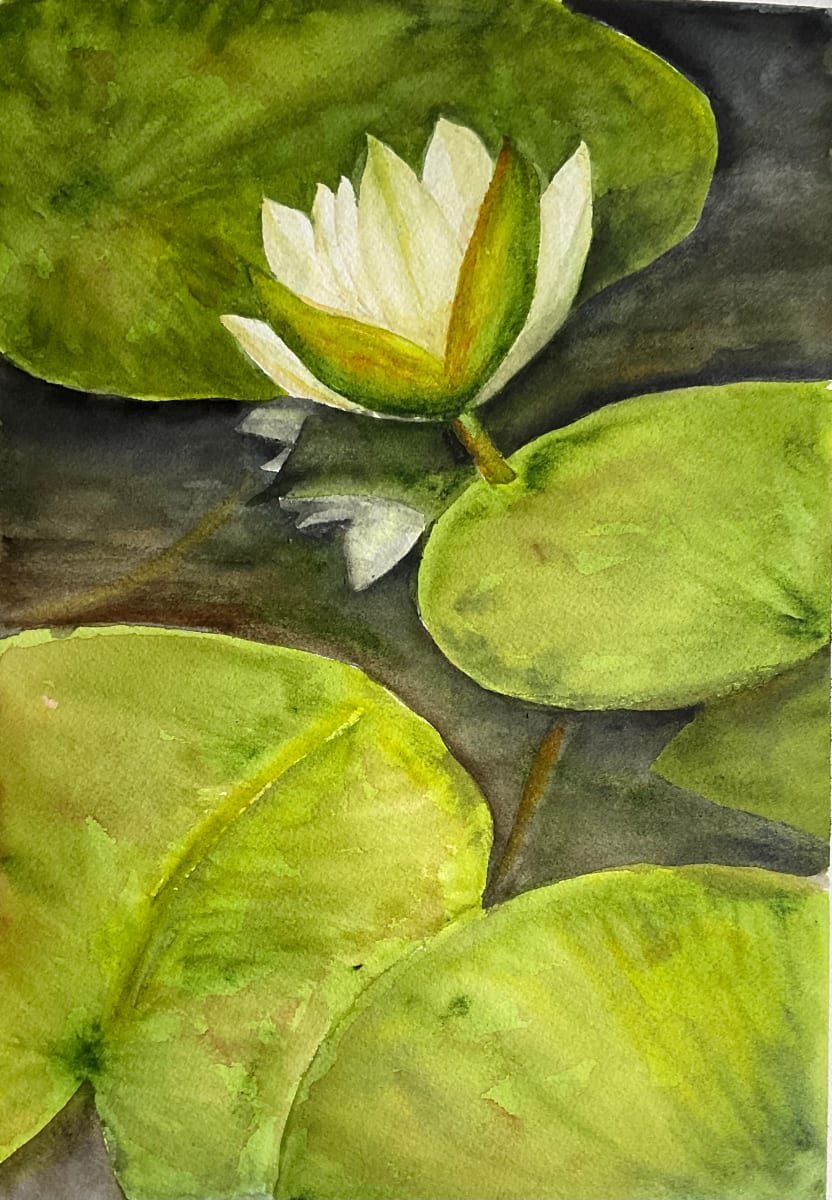 Water Lily Study 4 by Katy Heyning 