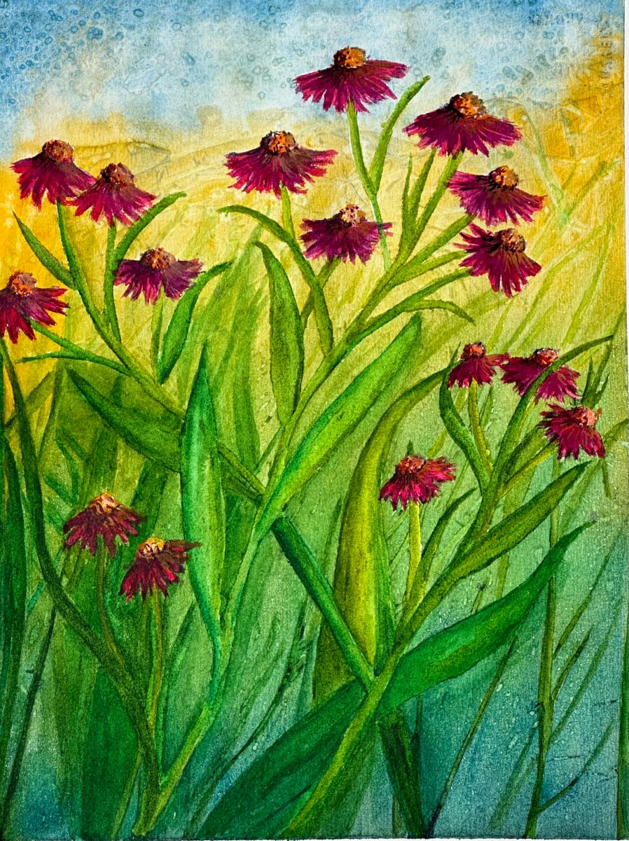 Coneflower Study by Katy Heyning 