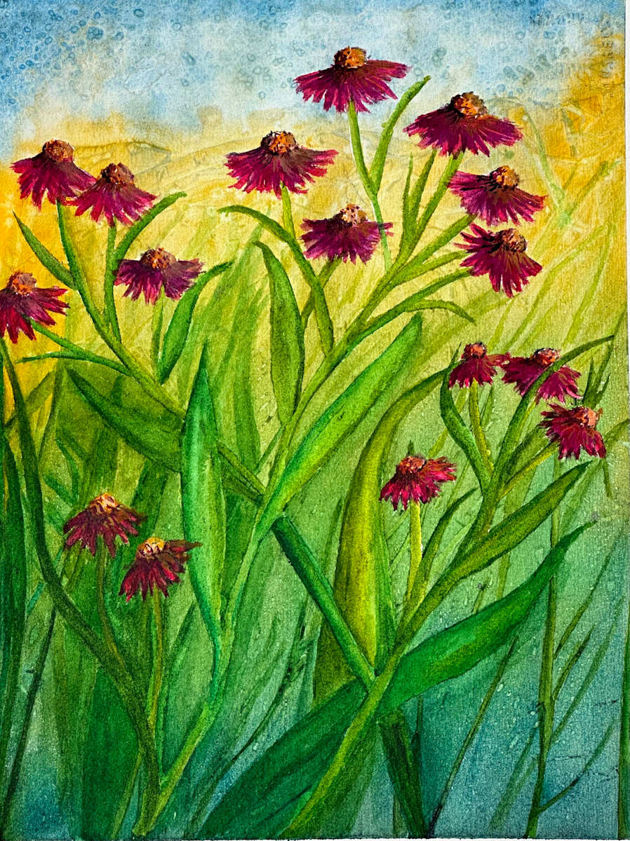 Coneflower Study by Katy Heyning, Image 1.