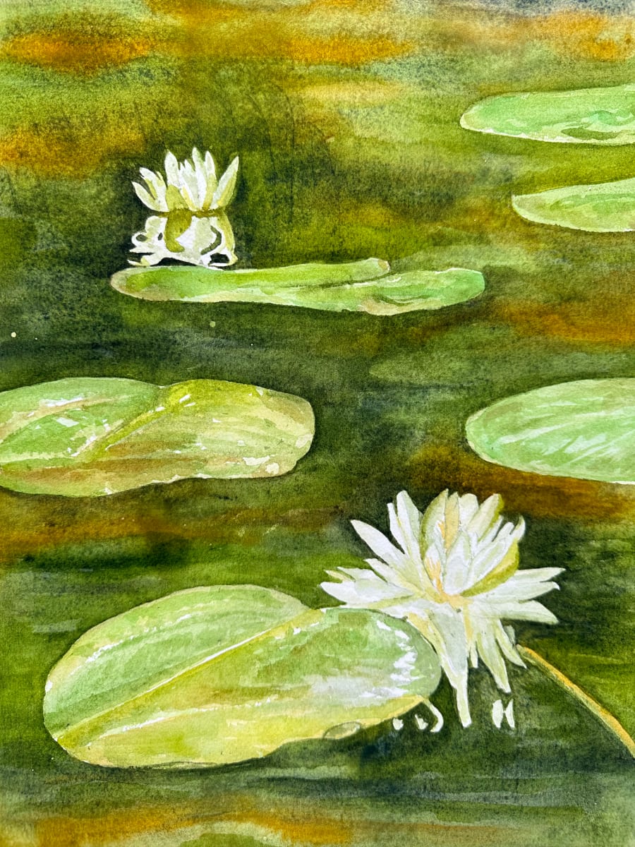 Water Lily Study by Katy Heyning 