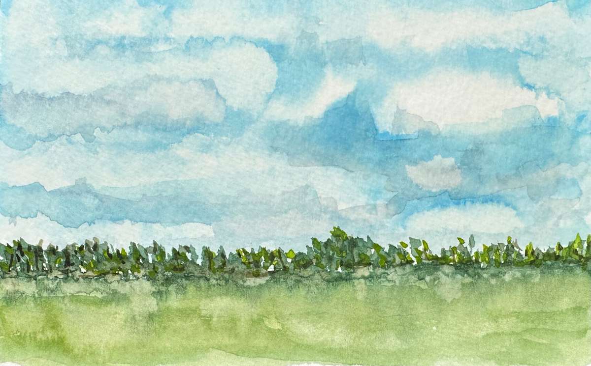 Green Lake Study 3 by Katy Heyning, Image 3.