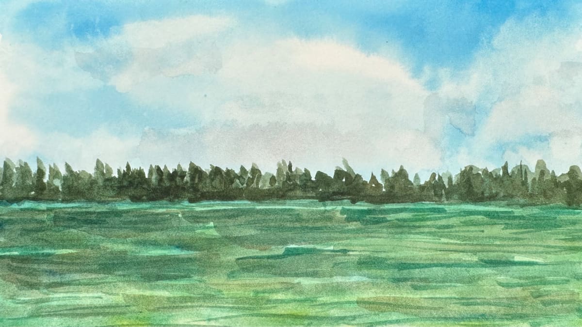 Green Lake Study 2 by Katy Heyning, Image 7.