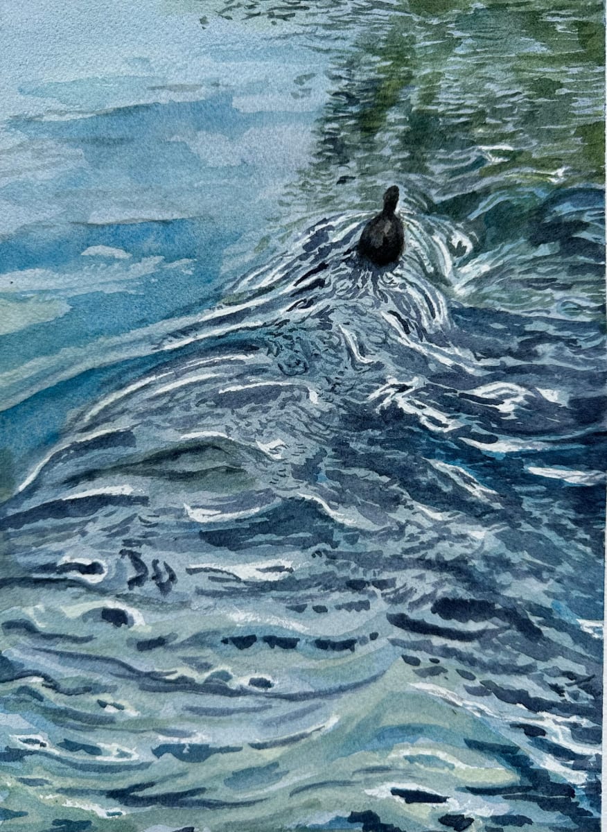 Duck on the Yahara River by Katy Heyning Watercolor and Fine Art, Image 1.