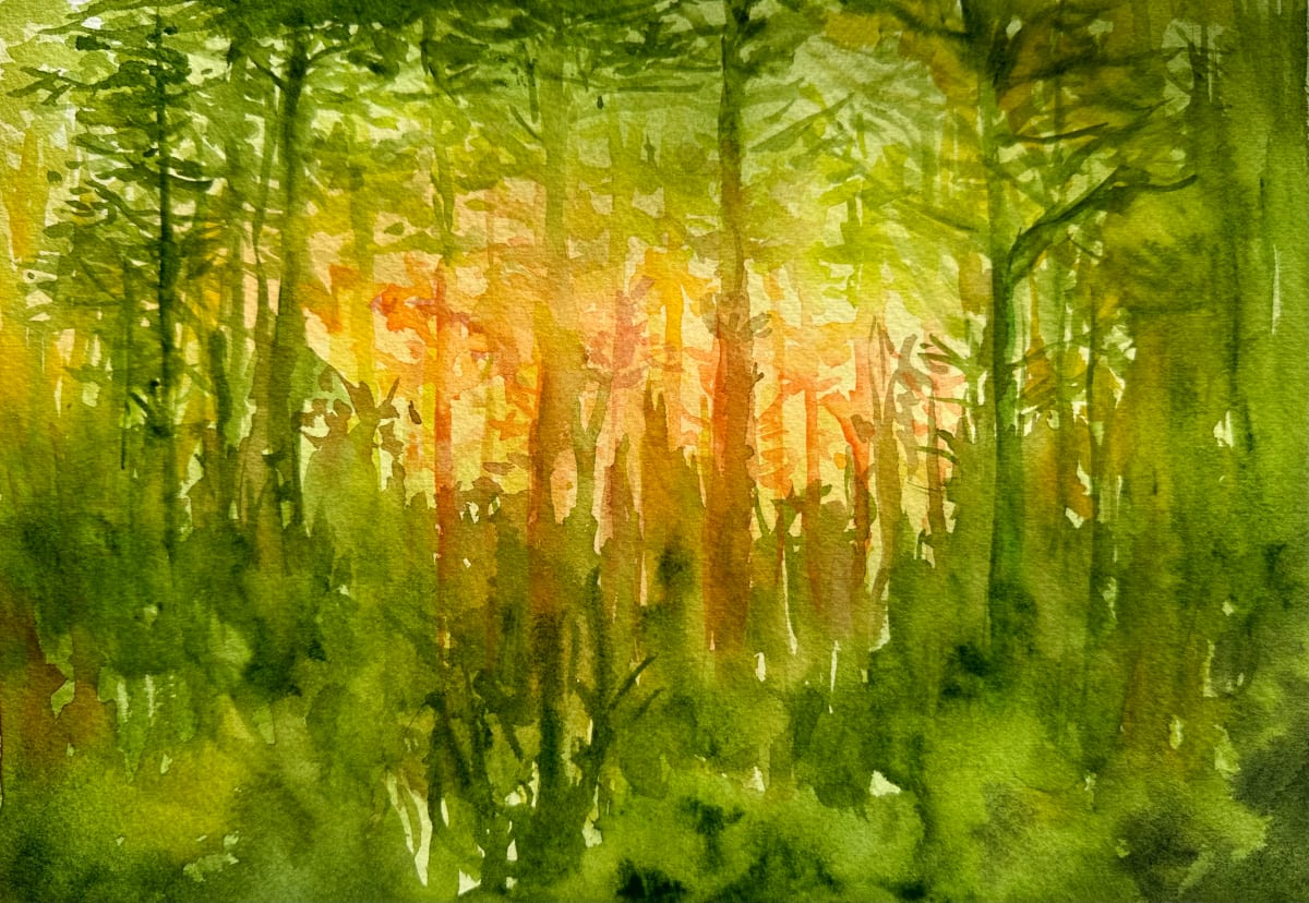 Forest Sunset by Katy Heyning 