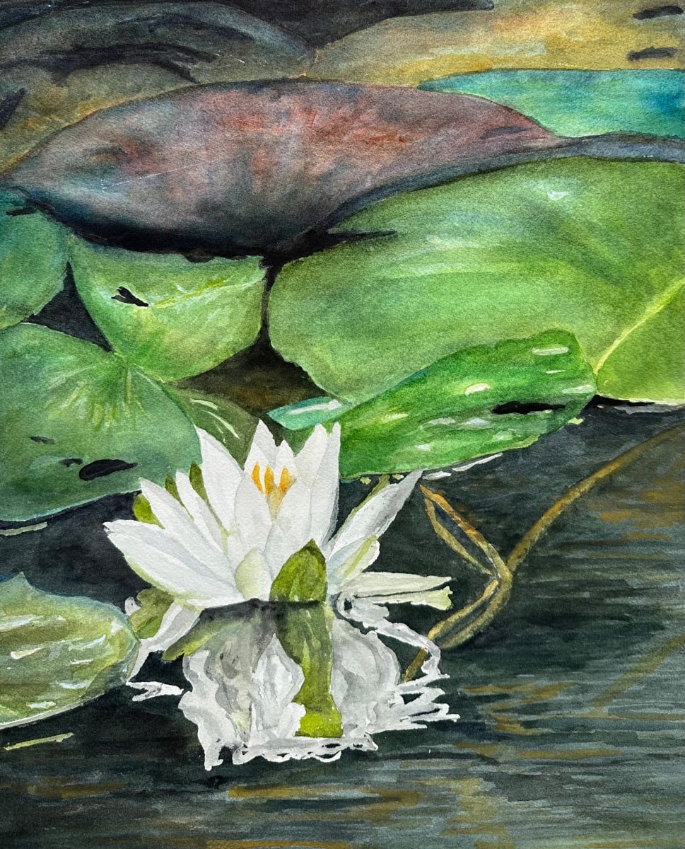 Water Lilies 2 by Katy Heyning 