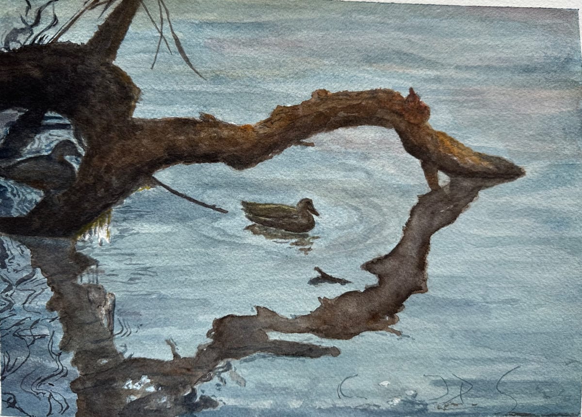 Ducks at Hudson Beach by Katy Heyning, Image 1.