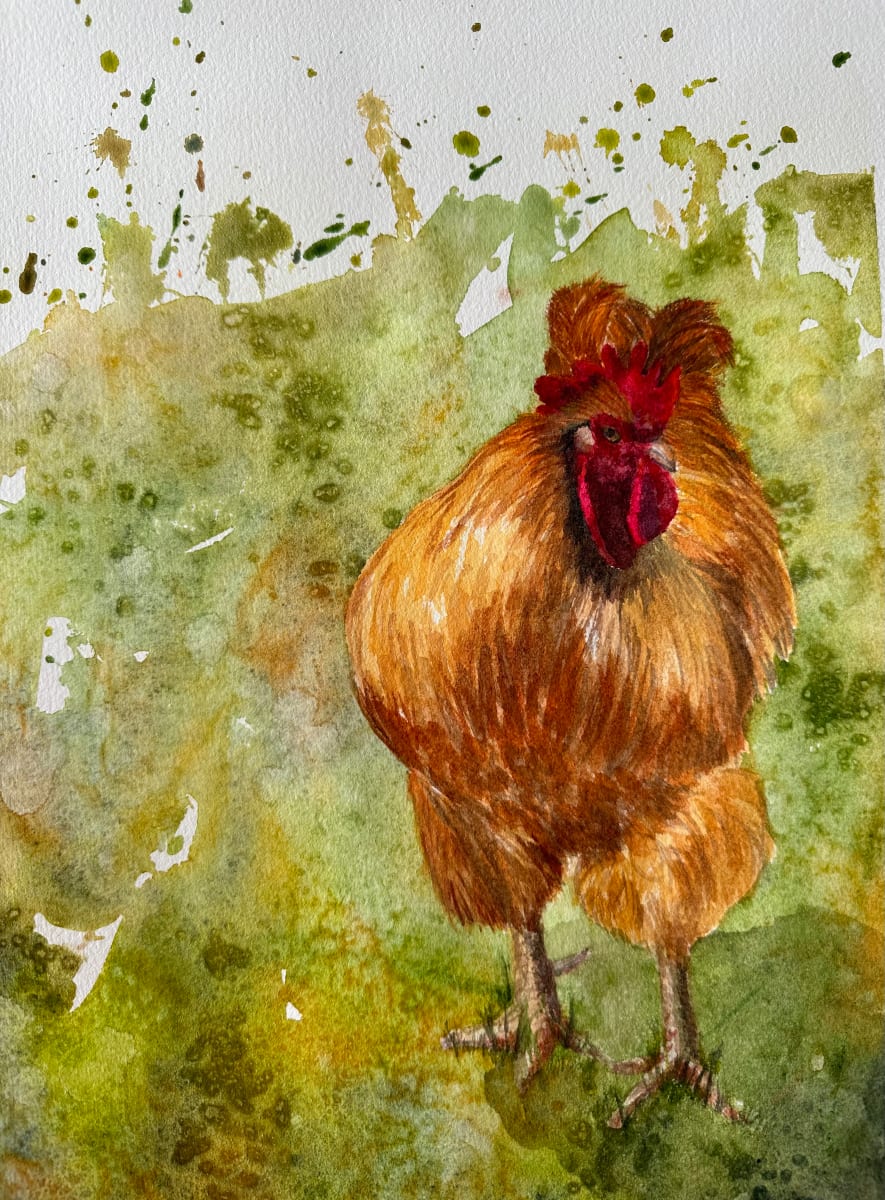 Rooster by Katy Heyning 