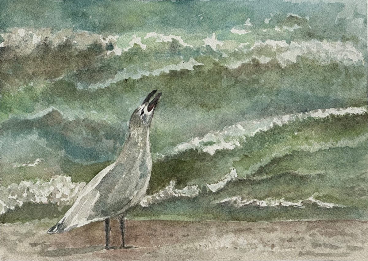 Seagull by Katy Heyning, Image 1.