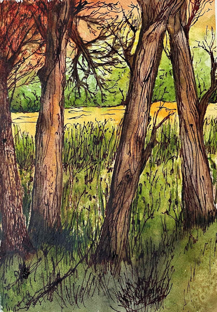 Oaks by Katy Heyning, Image 1.