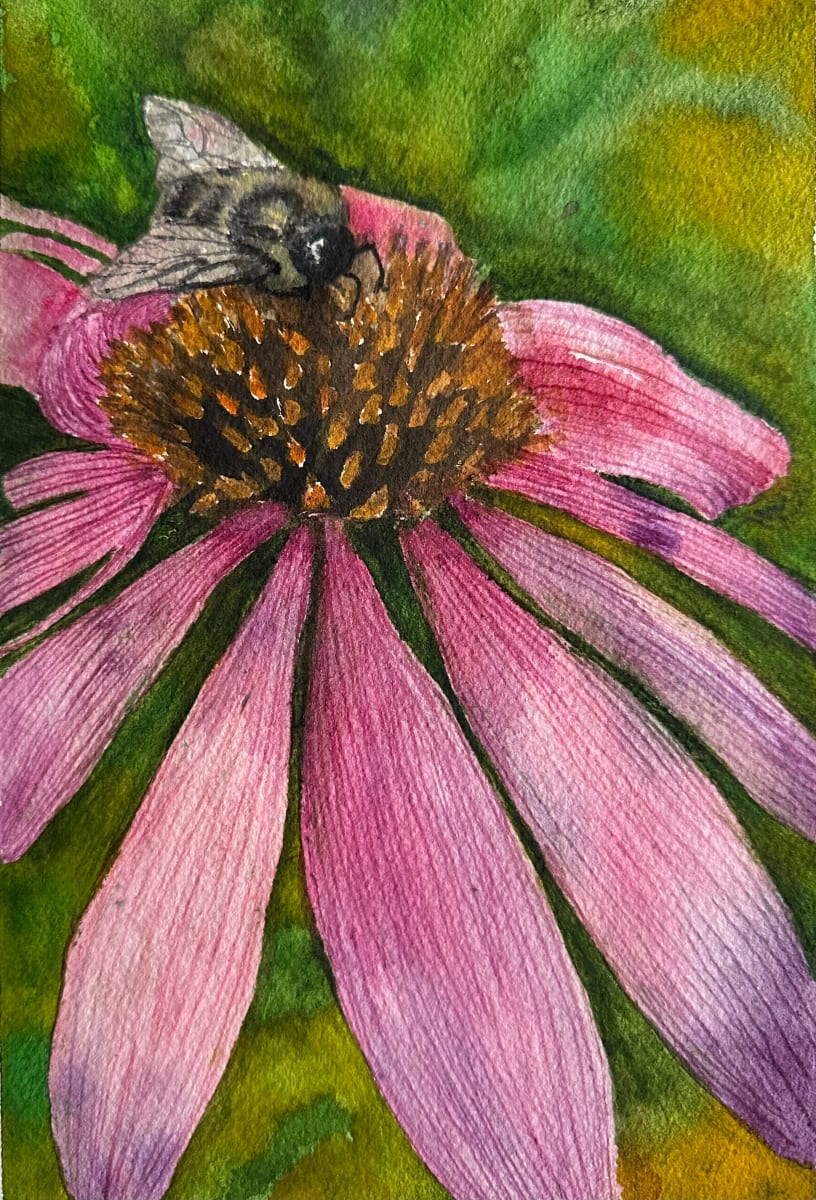 Bee and coneflower by Katy Heyning 