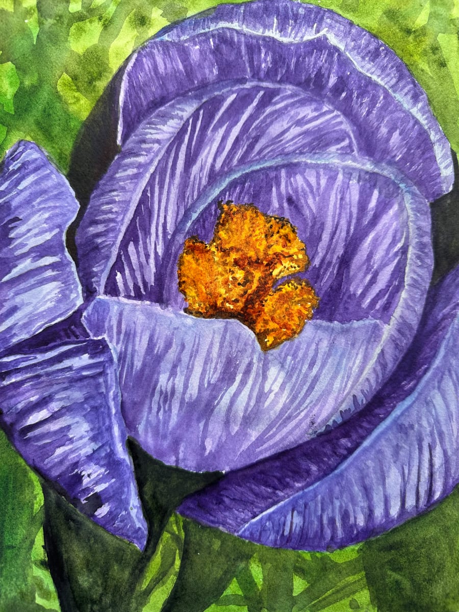 Crocus by Katy Heyning 