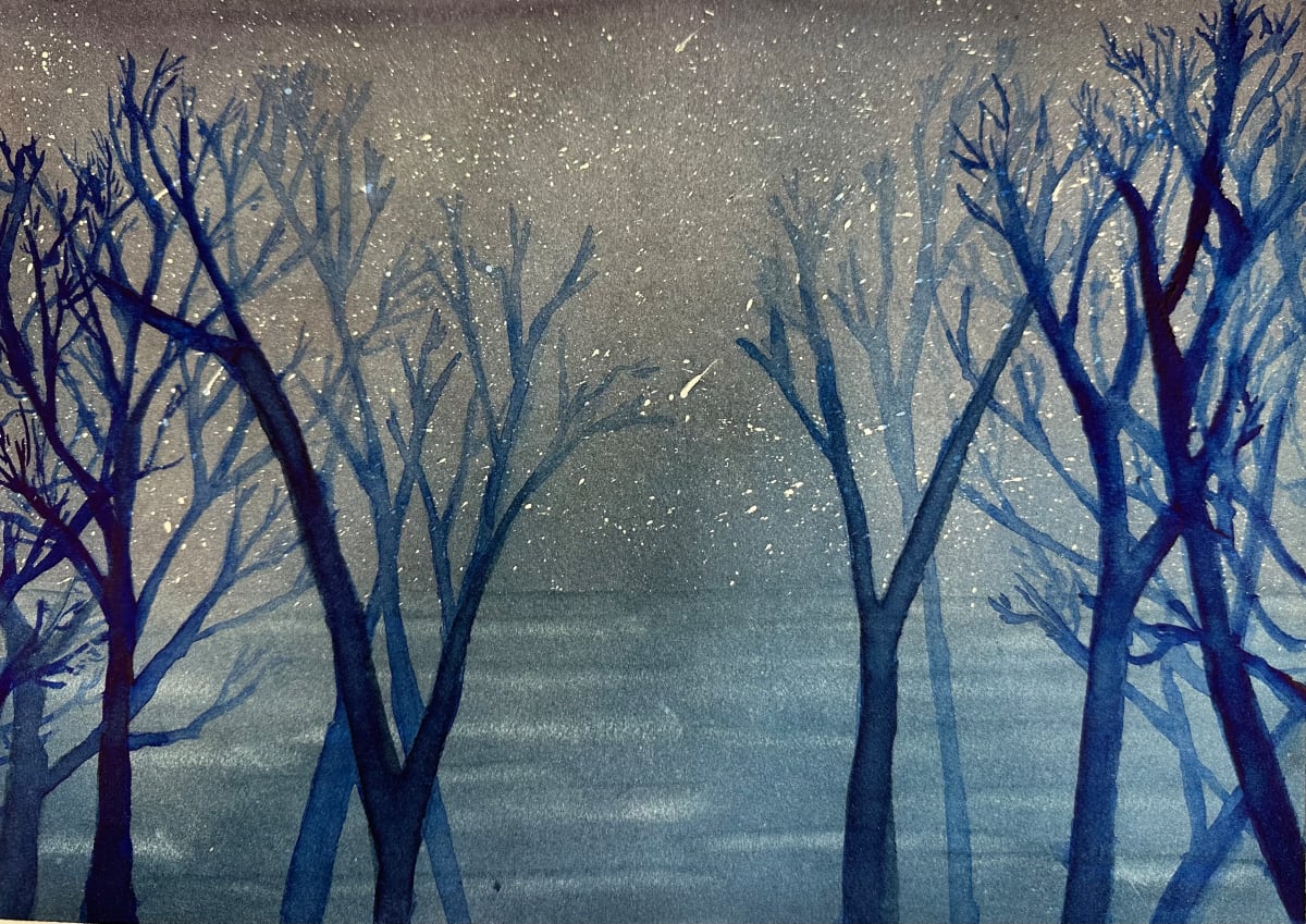 Perseid Shower by Katy Heyning 