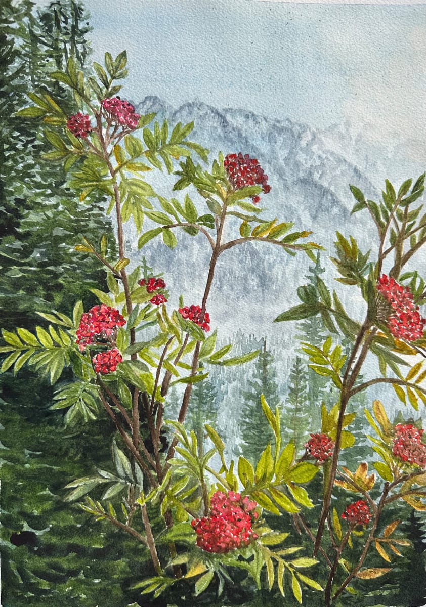 Mountain Flower 1 by Katy Heyning, Image 1.