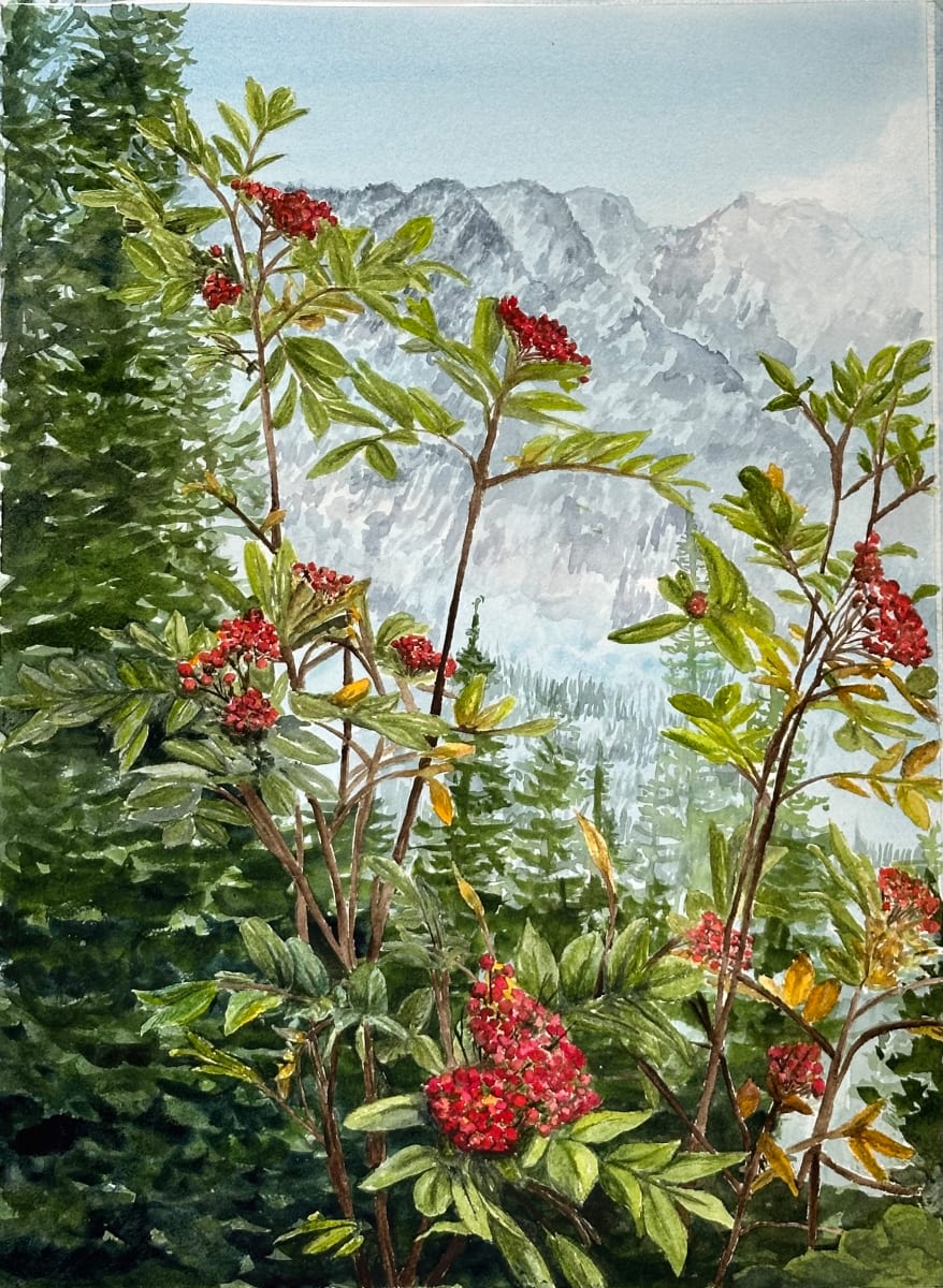 Mountain Flower 2 by Katy Heyning Watercolor and Fine Art, Image 1.