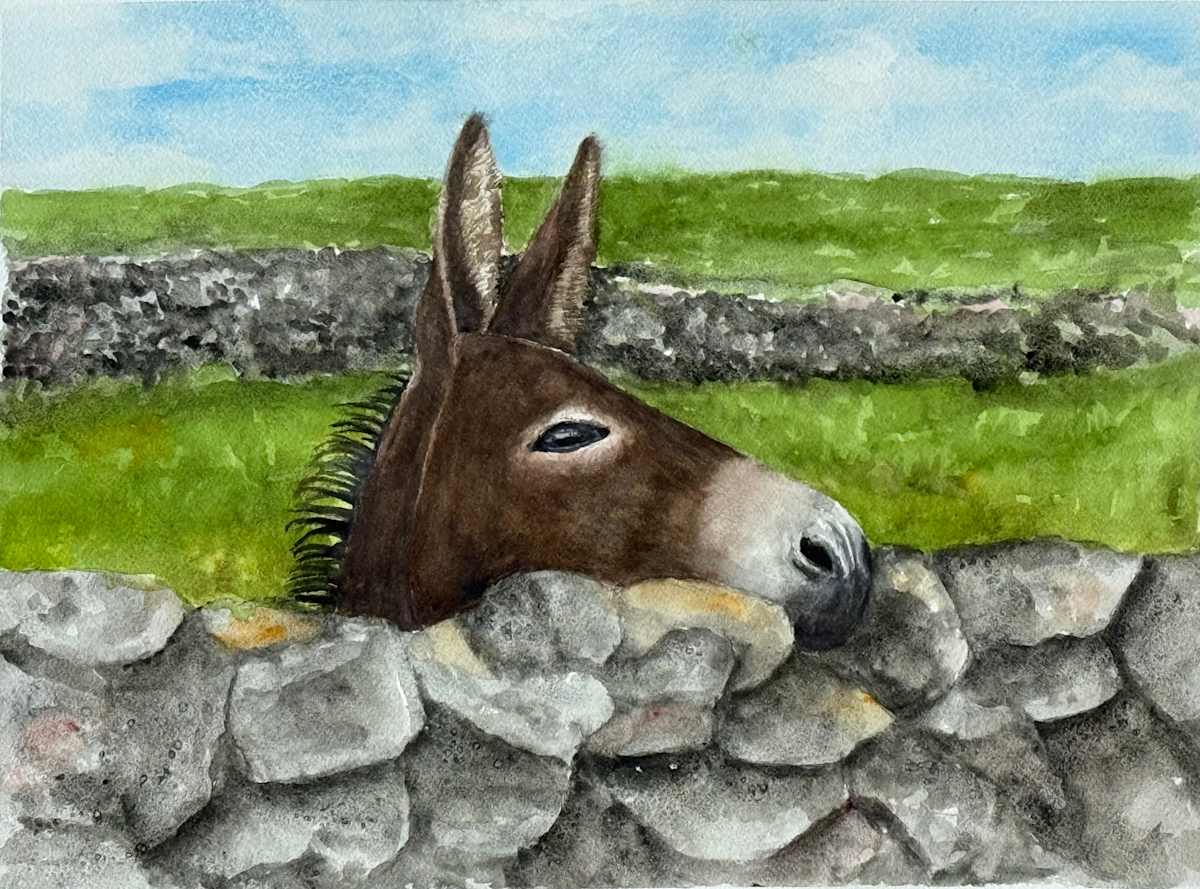 Irish Donkey by Katy Heyning Watercolor and Fine Art, Image 1.