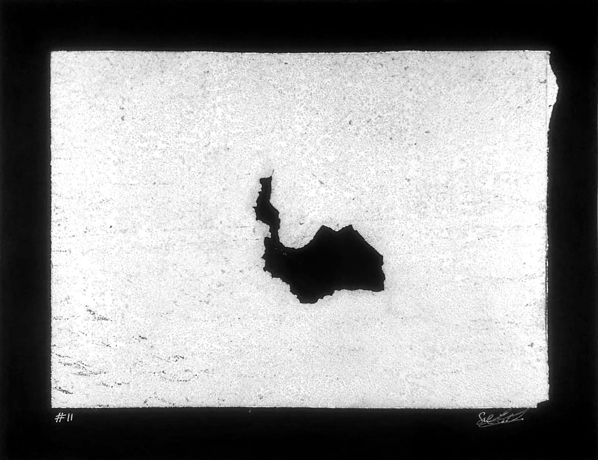 #11 by Satinder Parhar 