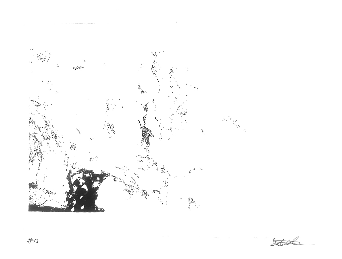 #13 by Satinder Parhar 