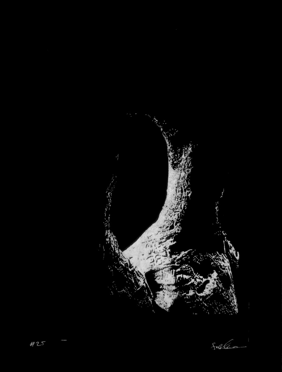 #25 by Satinder Parhar 