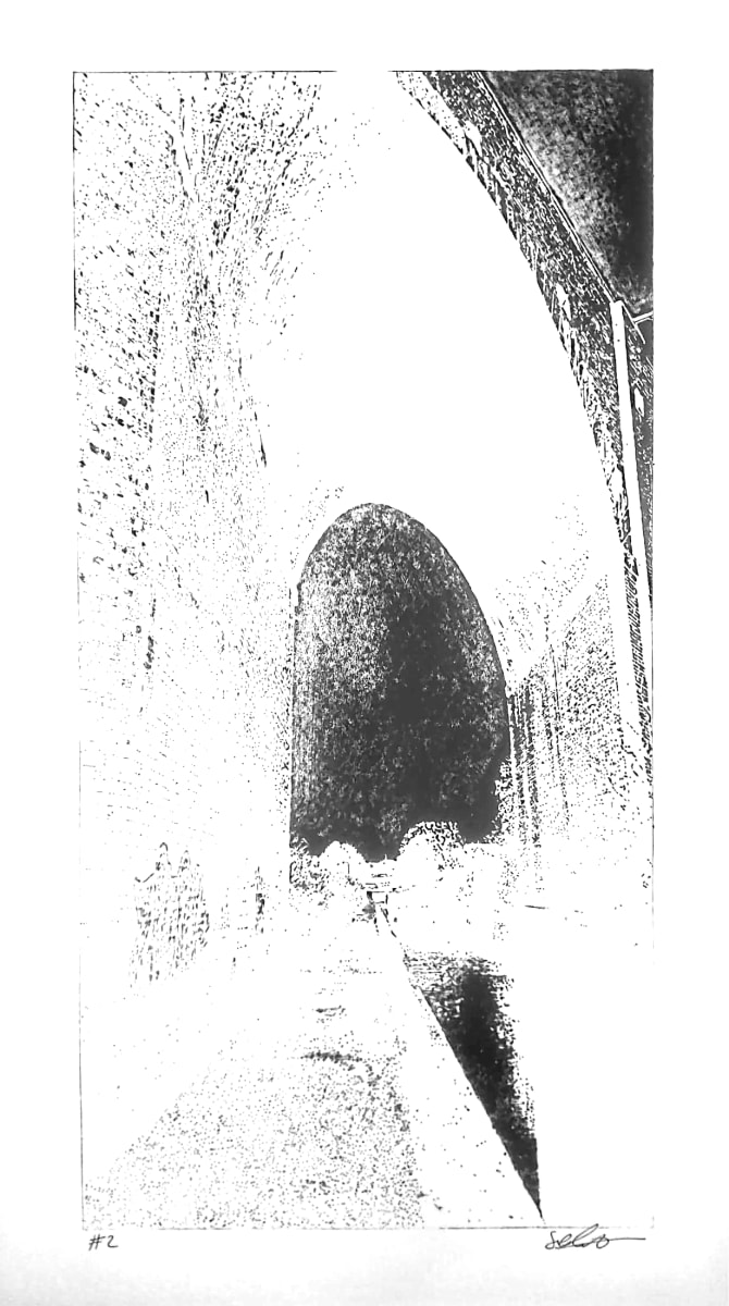 #2 by Satinder Parhar 