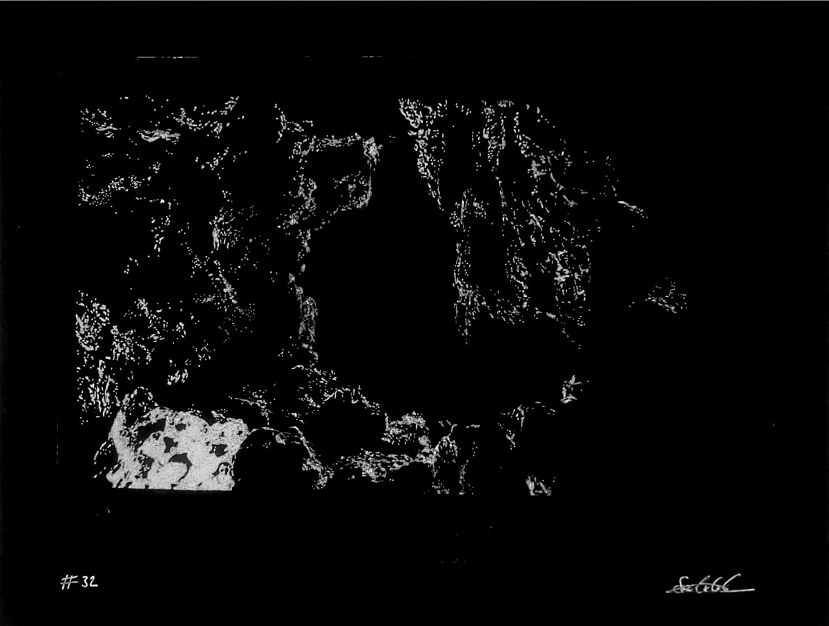 #32 by Satinder Parhar 