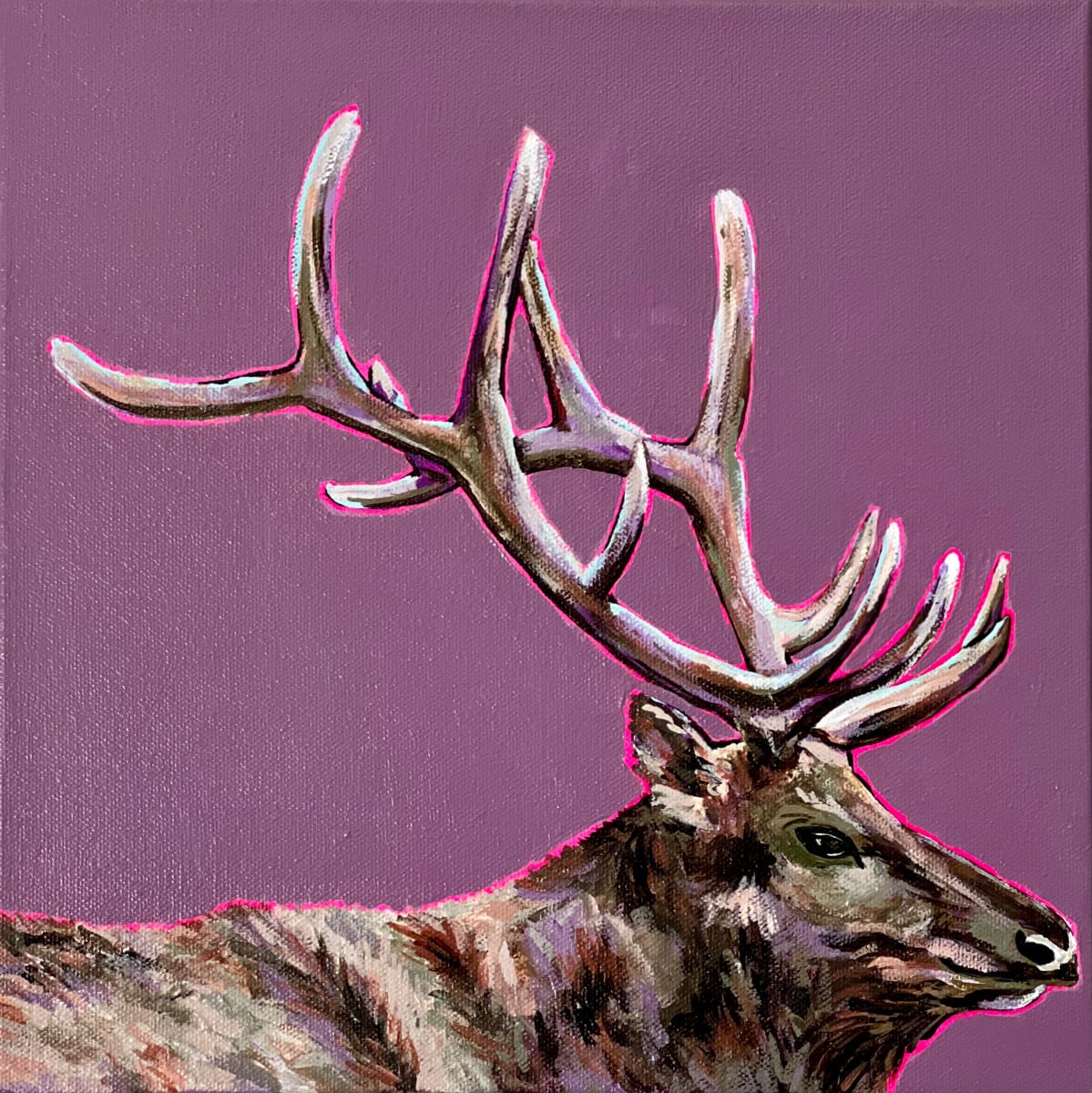 Elk 